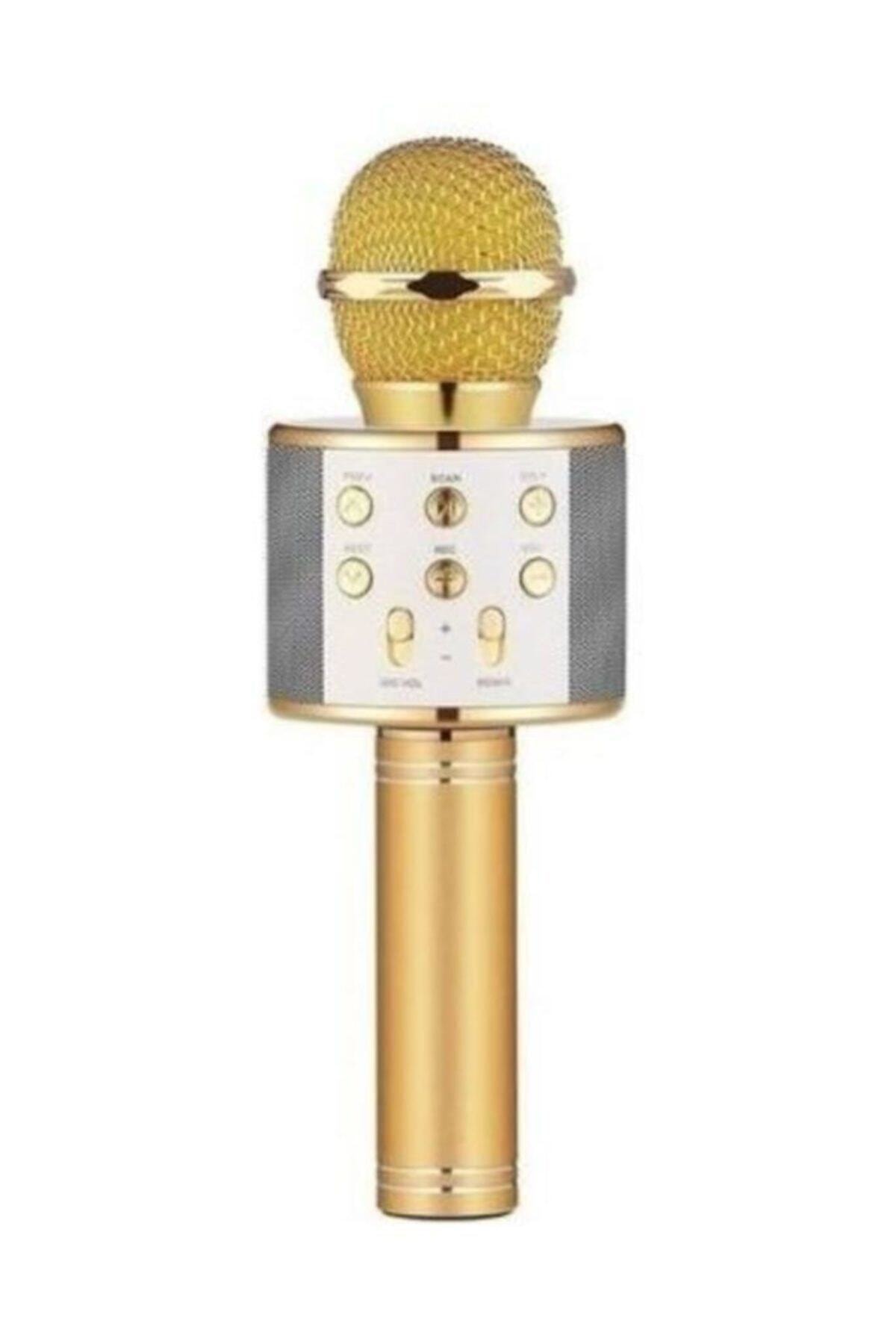Genel Markalar Gold Wster Dahili Hoparlörlü Usb Flash Destekli Karaoke Mikrofon Ws-858 Ws-858
