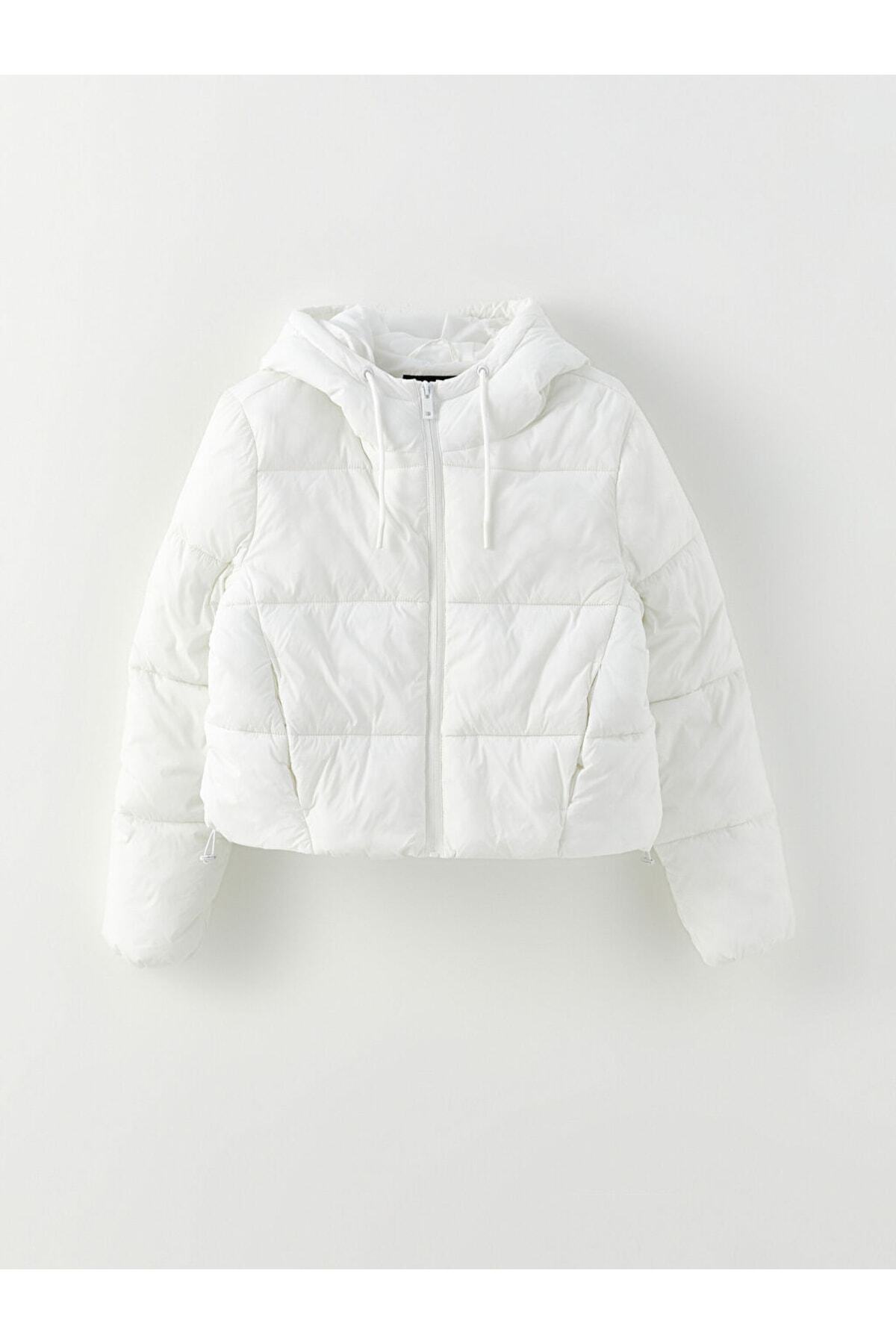 Hooded Plain Long Sleeve Women's Puffer Coat