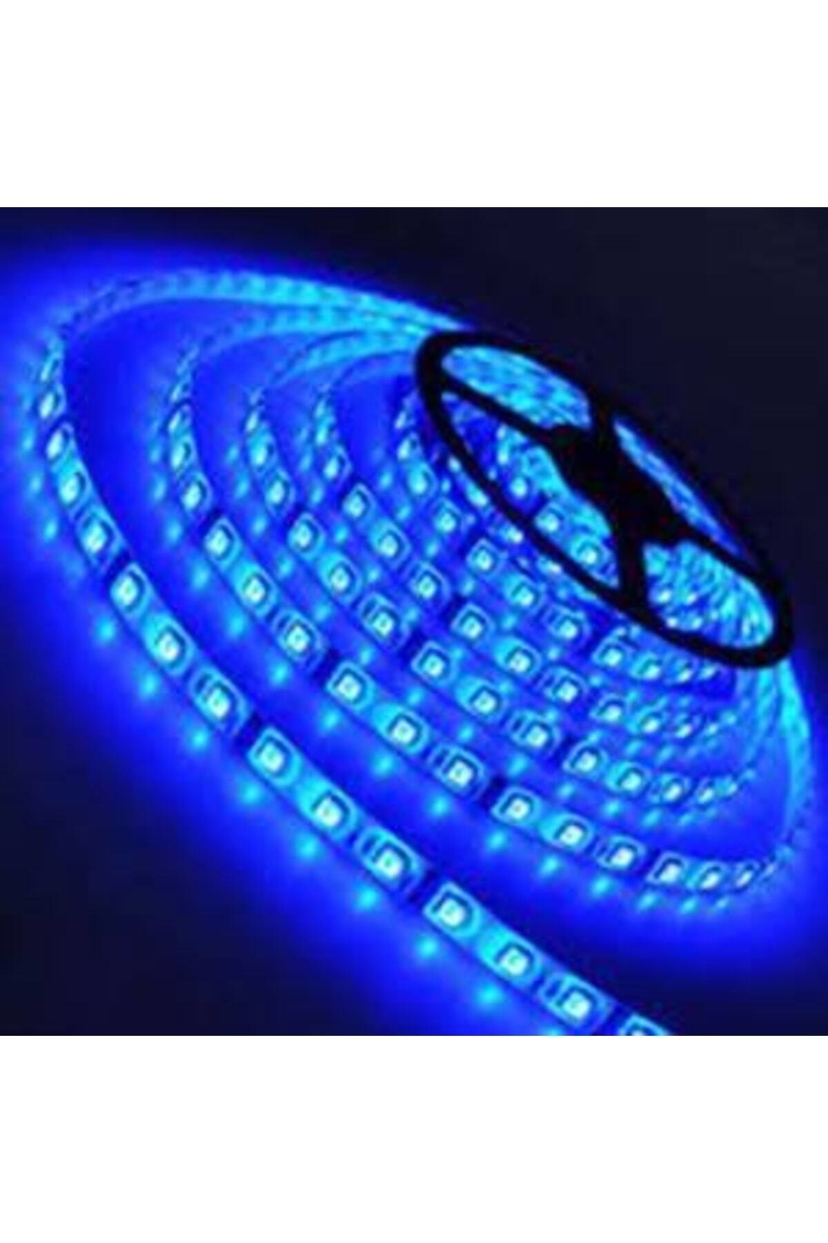 3 Chip Silicone Strip Led Blue 5MT 12 Volt Outdoor 5050 1ST CLASS 1MT/14.4W 72W