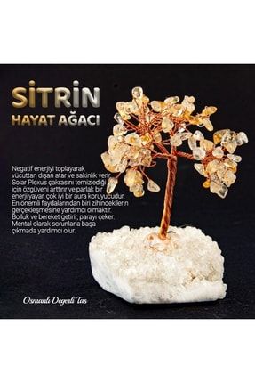 Sitrin, Kristal Kuvars Doğaltaş Ağaç D034 ODT11303