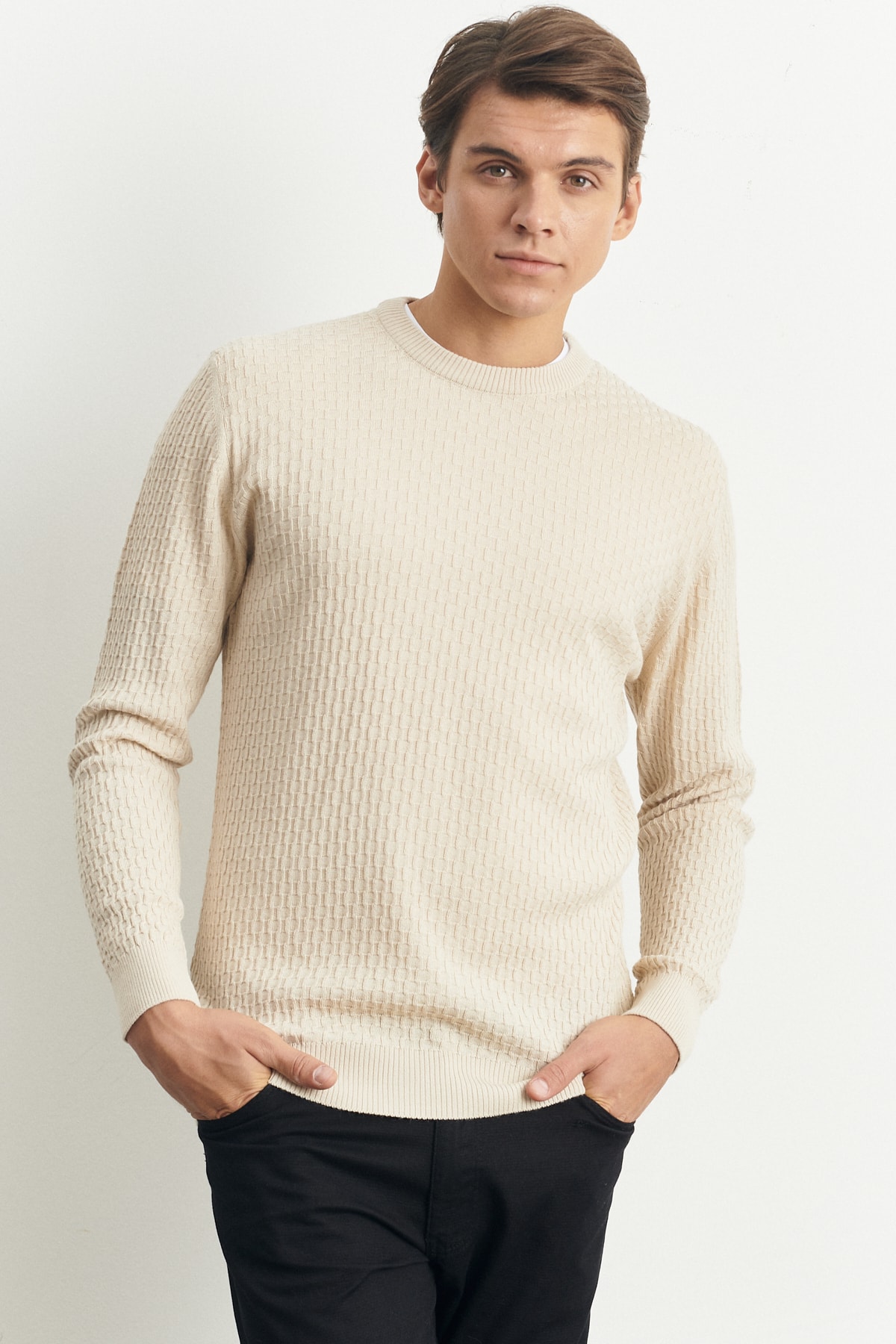 Men's Beige Standard Fit Regular Cut Crew Neck Jacquard Wool Knitwear Sweater
