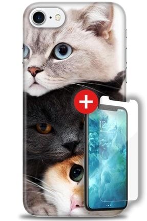 Iphone 7 Kılıf Hd Baskılı Kılıf - Kedi Kardeşliği + Temperli Cam zmap-iphone-7-v-318-cm