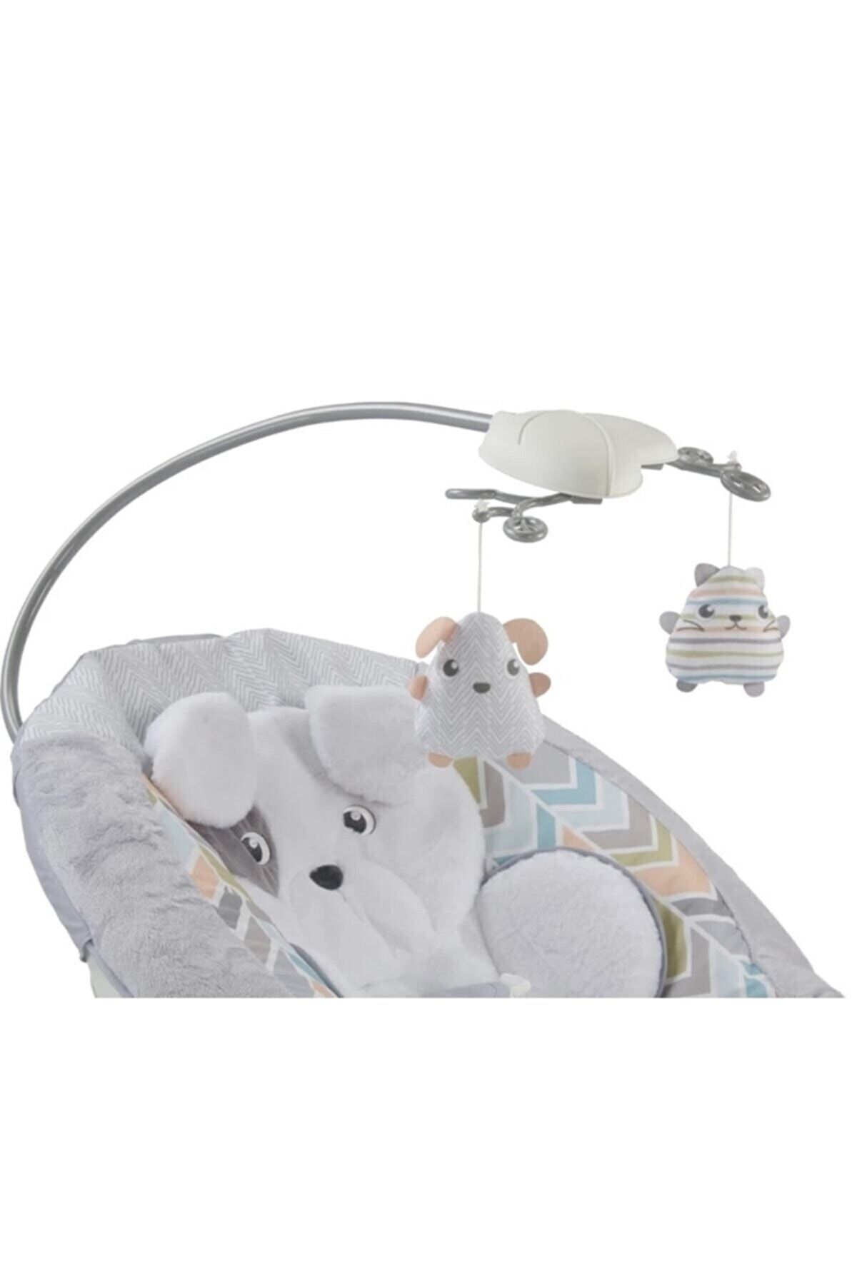 Sweet snugapuppy dreams deluxe bouncer best sale
