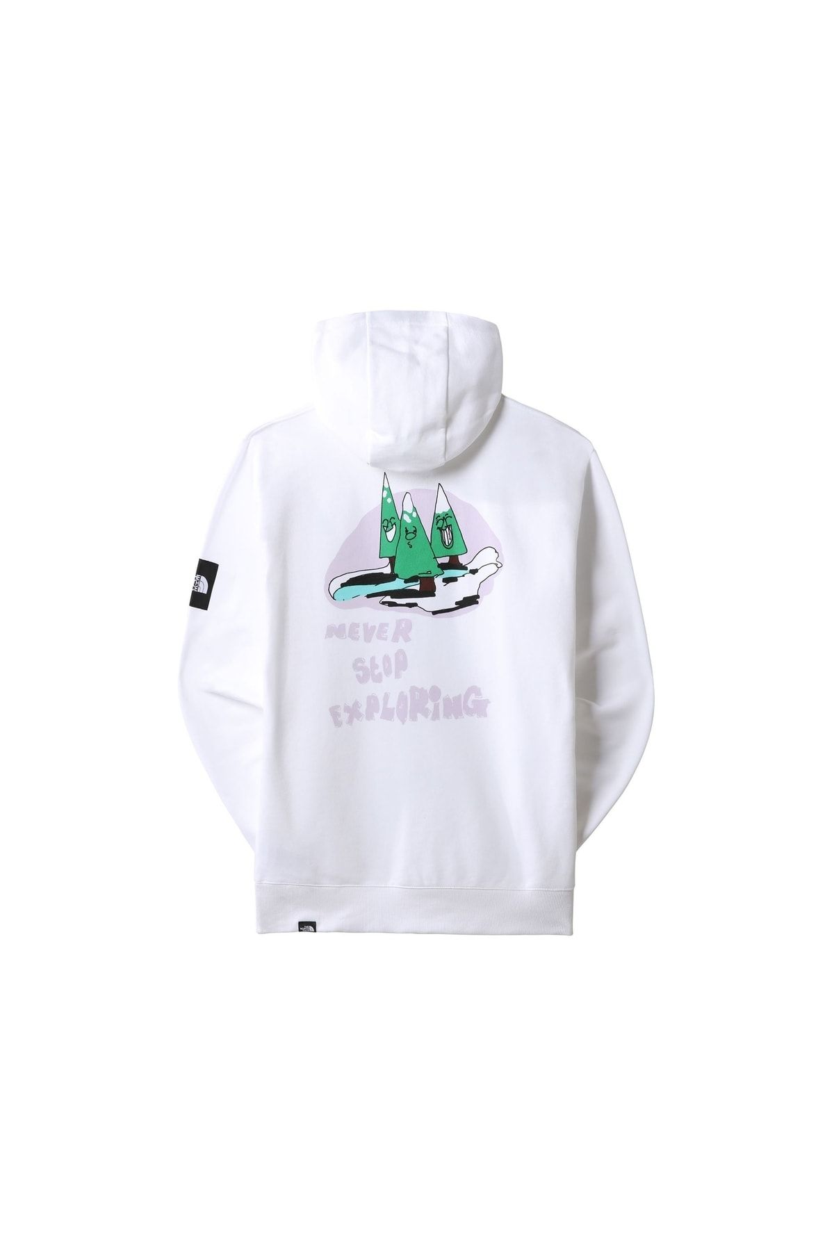 North face graphic patch hoodie cheap