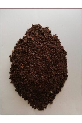 Kara Servi Ağacı Tohumu 5 Gr (1000 Adet Tohum) Karaservi Tohumu Servi Tohumu Süs Bitkileri Tohumu SER02