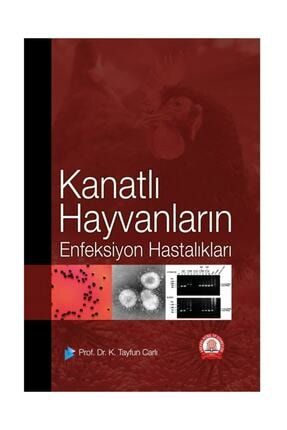 trendyol