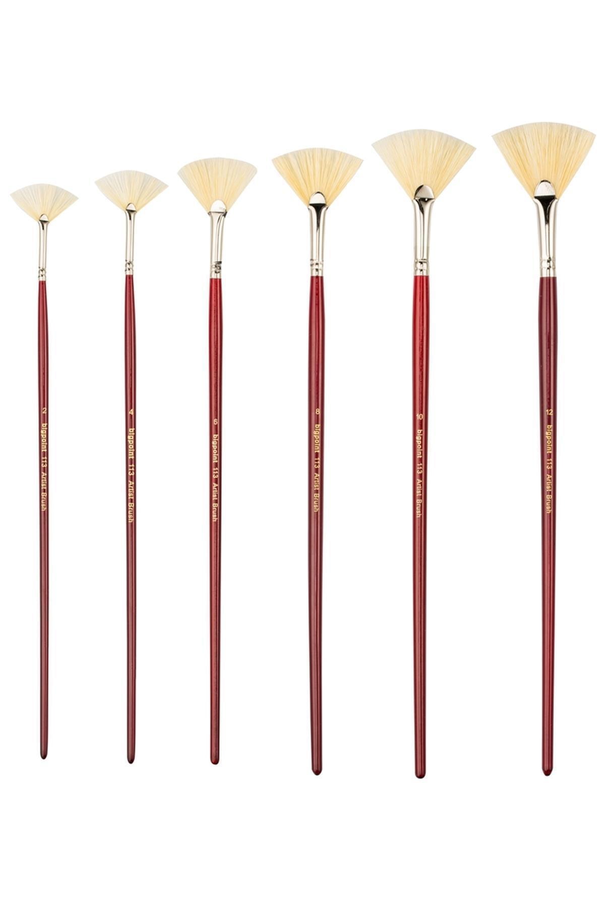 Genel Markalar 113 Serisi Doğal Kıl Yelpaze Fırça No: 12