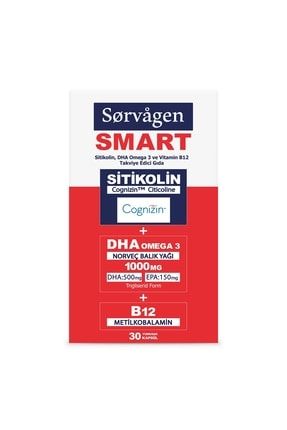 Smart Sitikolin, Dha Omega 3 Norveç Balık Yağı Ve B12 (30 Kapsül) TM.SORV.00010
