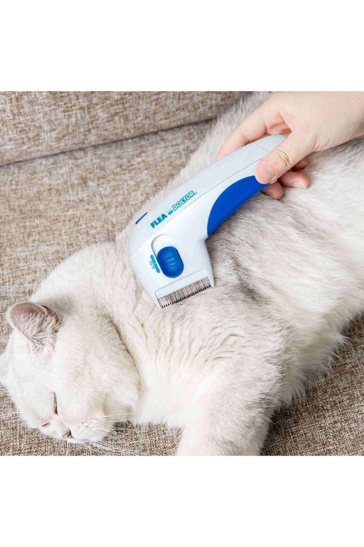Flea best sale doctor brush