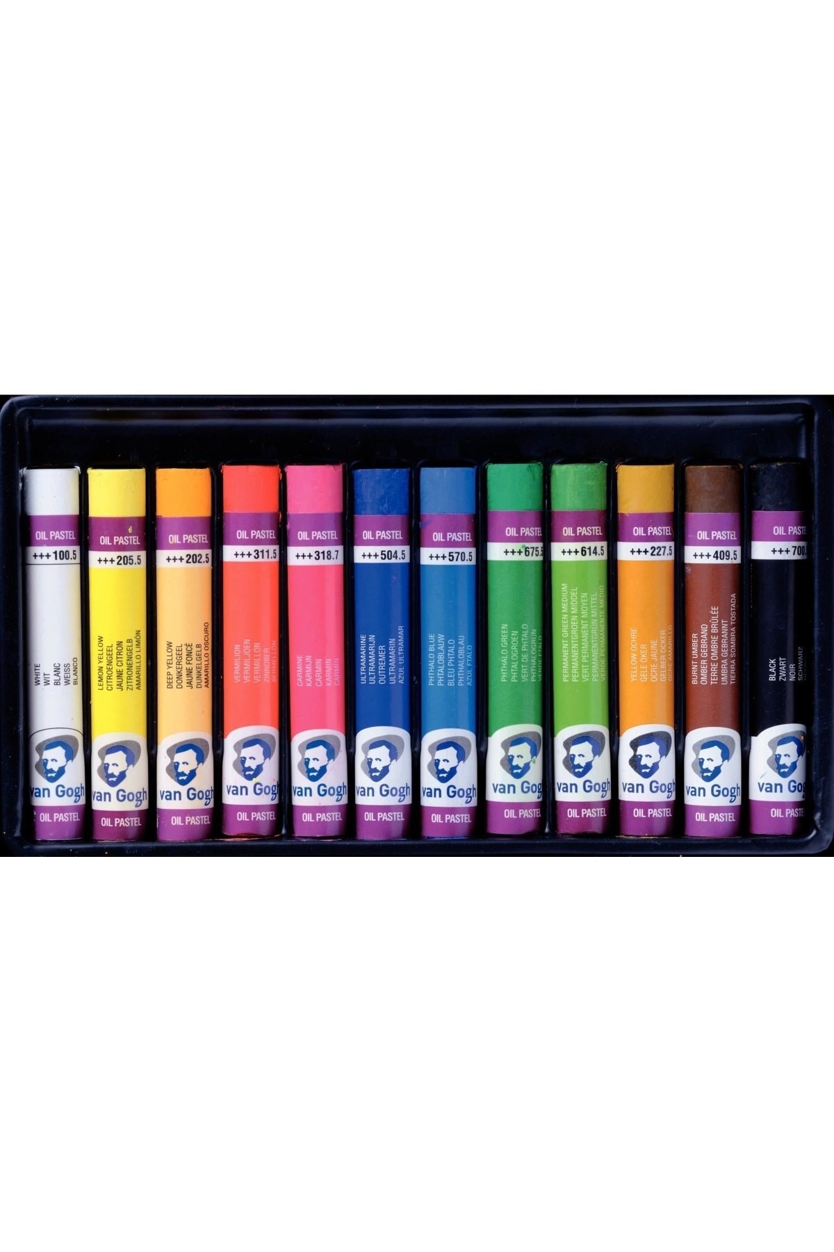 Van Gogh Yağlı Pastel Başlangıç Seti 12'li