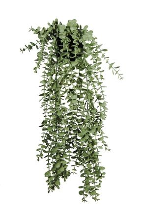 Yapay Çiçek Maxi Boy Siyah Saksılı Pastel Yeşili Okaliptus Sarkıtı LH-22-770-1