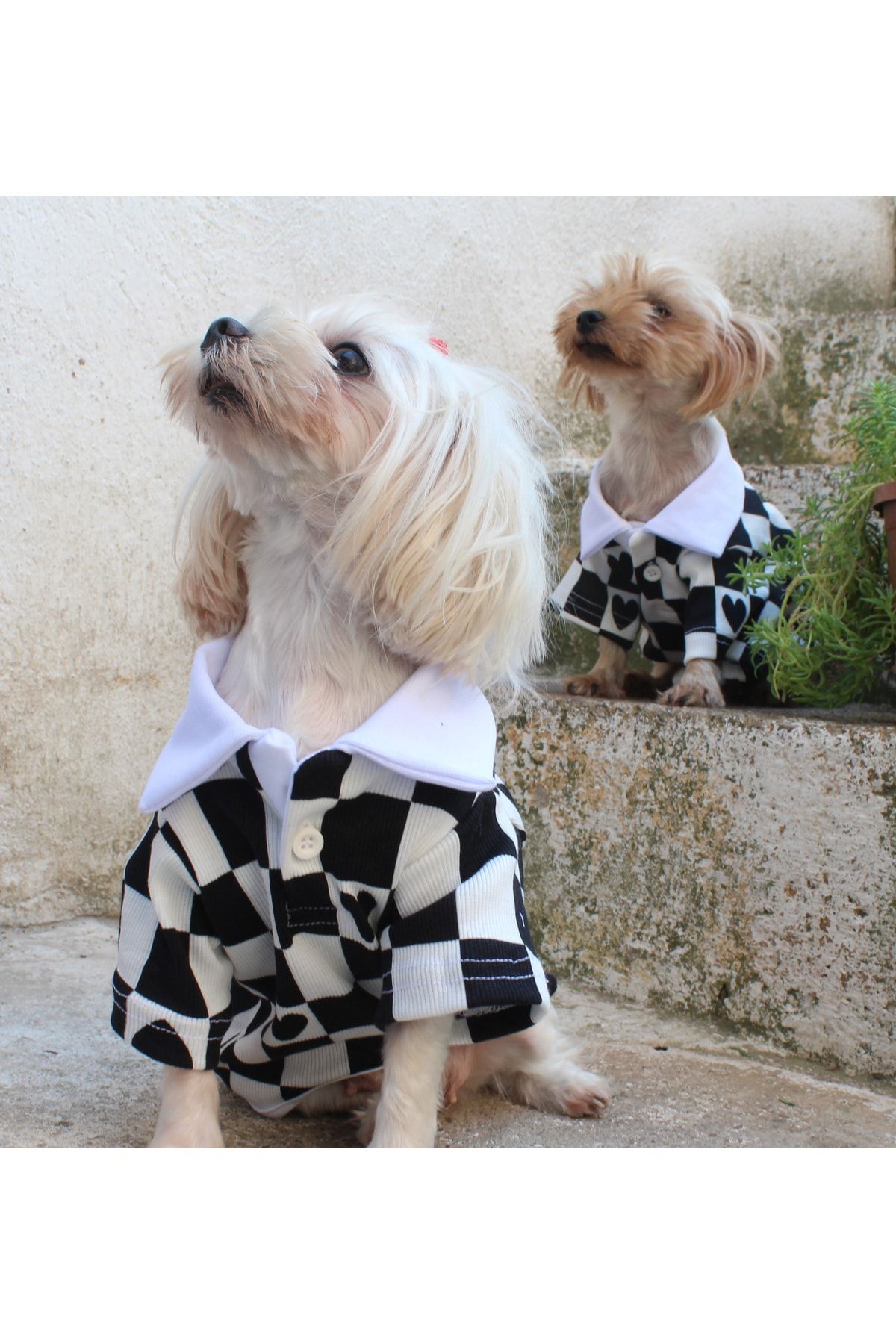Petite dog clothes top