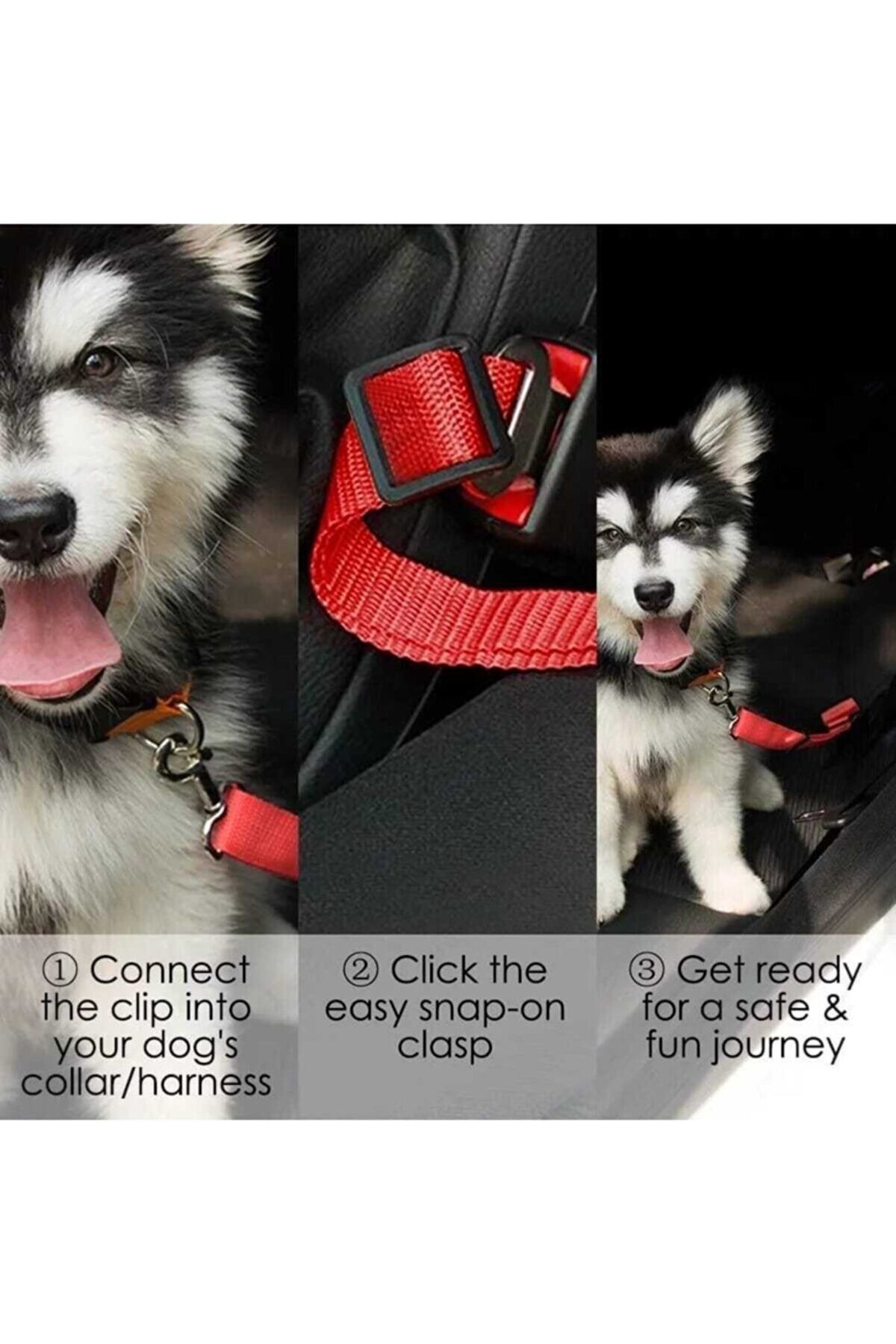 Pet belt top