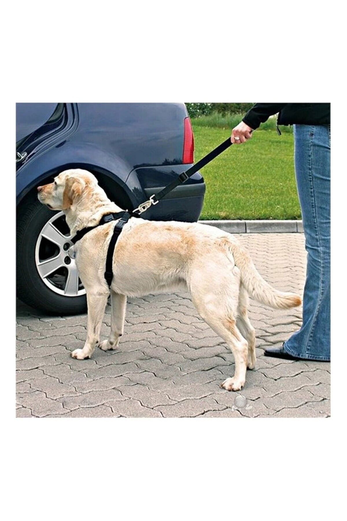 Pet supermarket dog harness hotsell