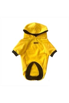 Sarı Kapüşonlu Kedi Köpek Sweatshirt LU-YS