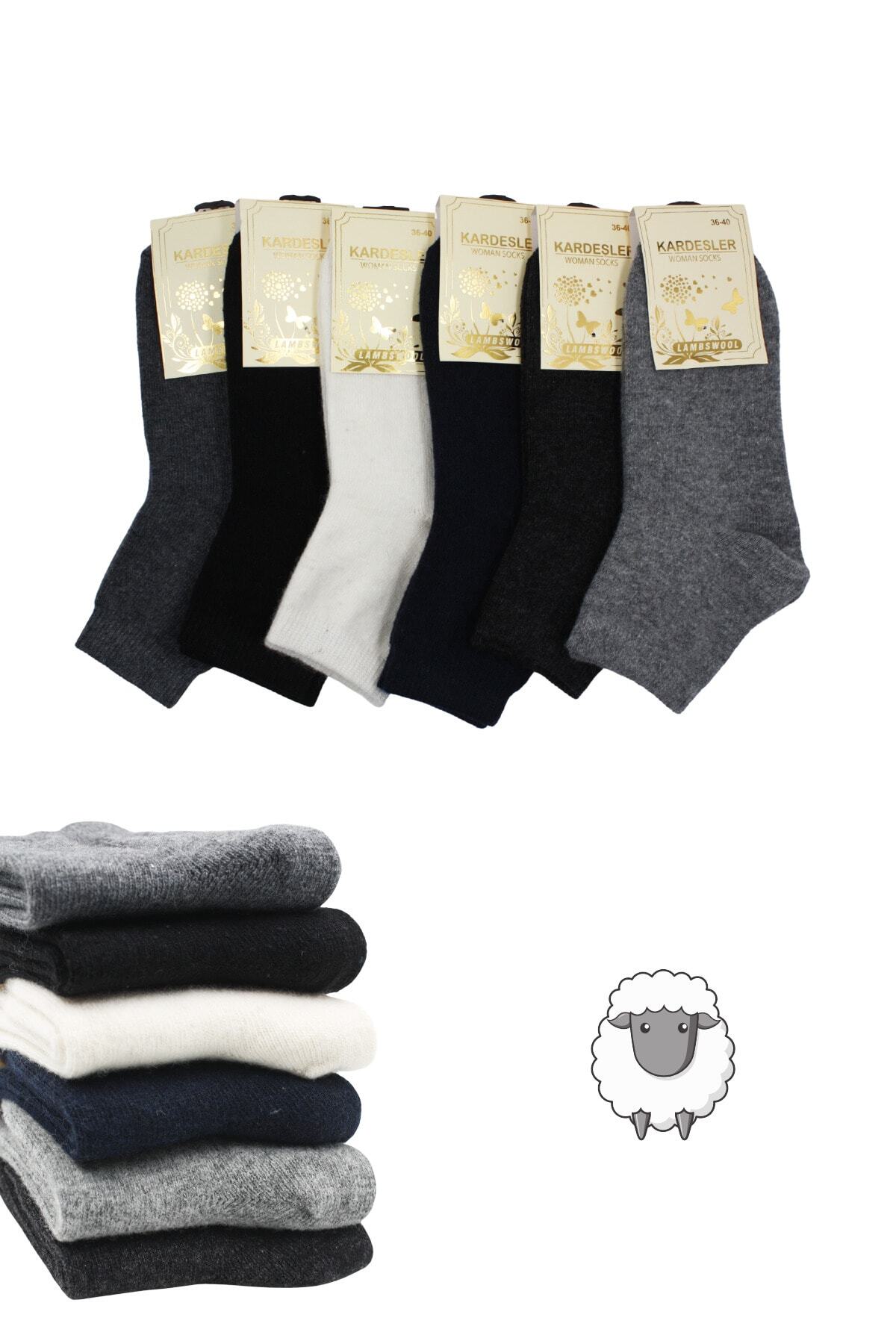 Women's Lambswool Wool Winter Multicolored Half Conch Socks 6-Pack