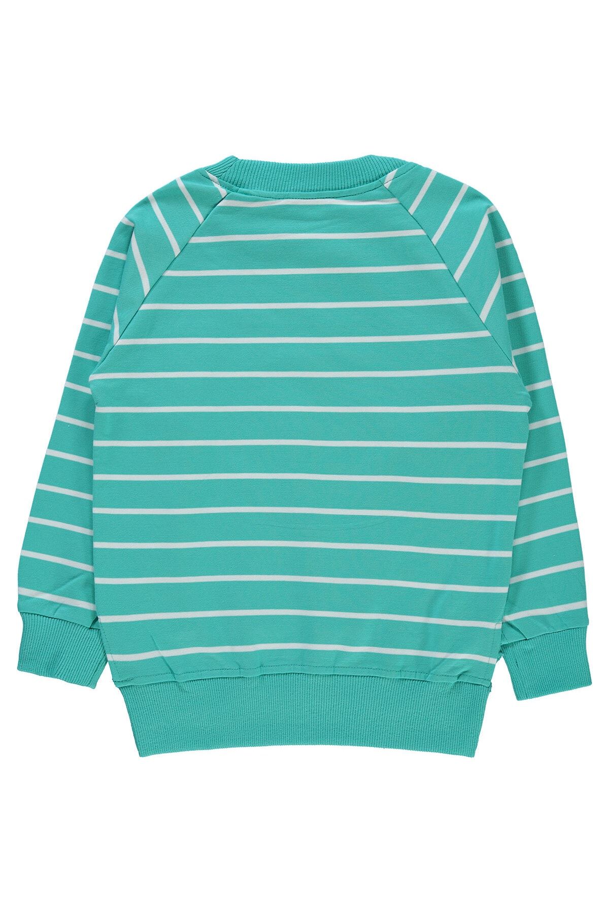 Erkek Çocuk Sweatshirt 6-9 Yaş Mint Yeşili