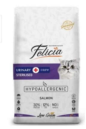 spectrum ultra premium kitten 38 tavuk