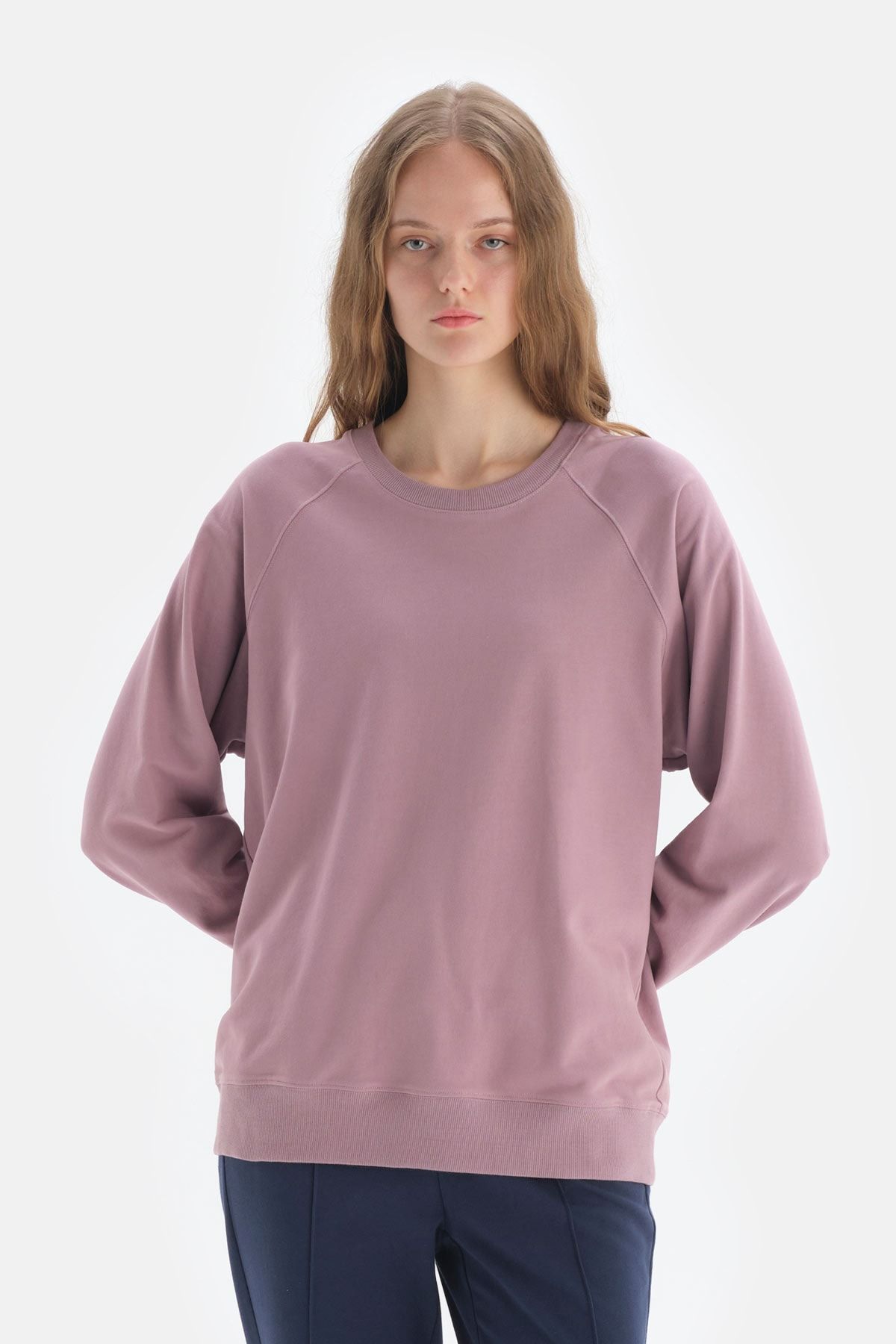 Dagi Sweatshirt Lila Regular Fit