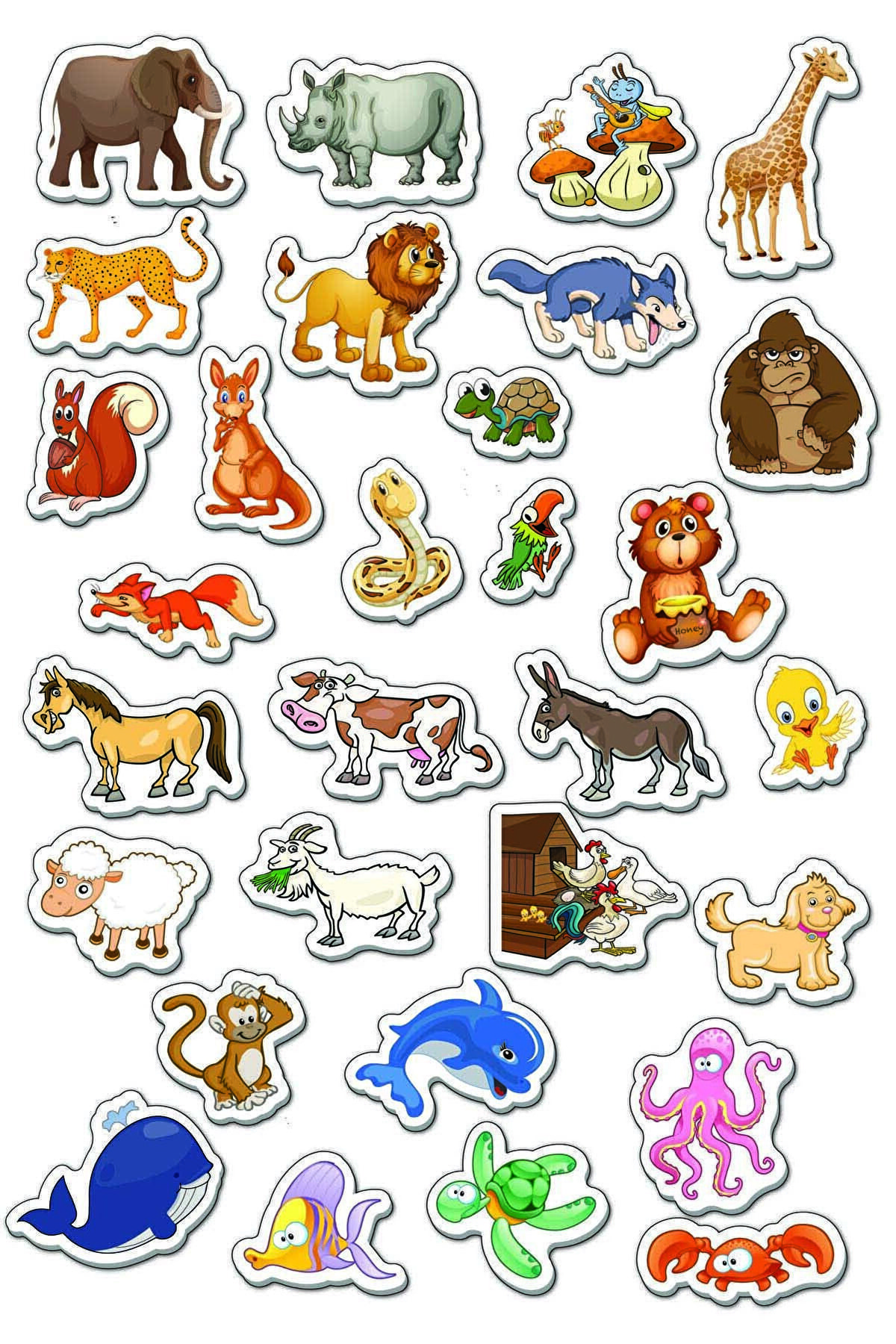 Manyetik Hayvanlar Eğitici Set Mıknatıslı Aktivite Kartları 3+ Yaş