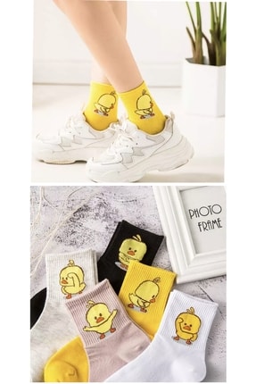 dm del more 5 Çift Unisex Renkli Çeşitli Desenli Yıkamalı Civciv Kolej Tenis ...