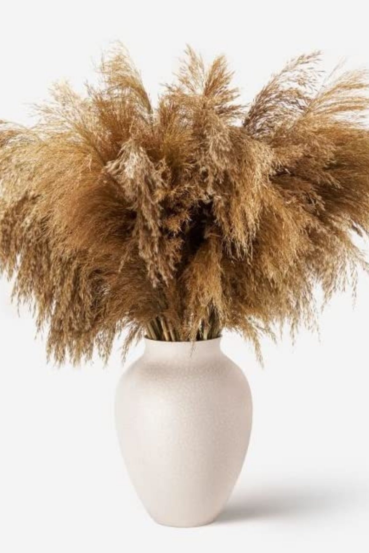 Ürün Detay Resmi Ürün Detay Resmi