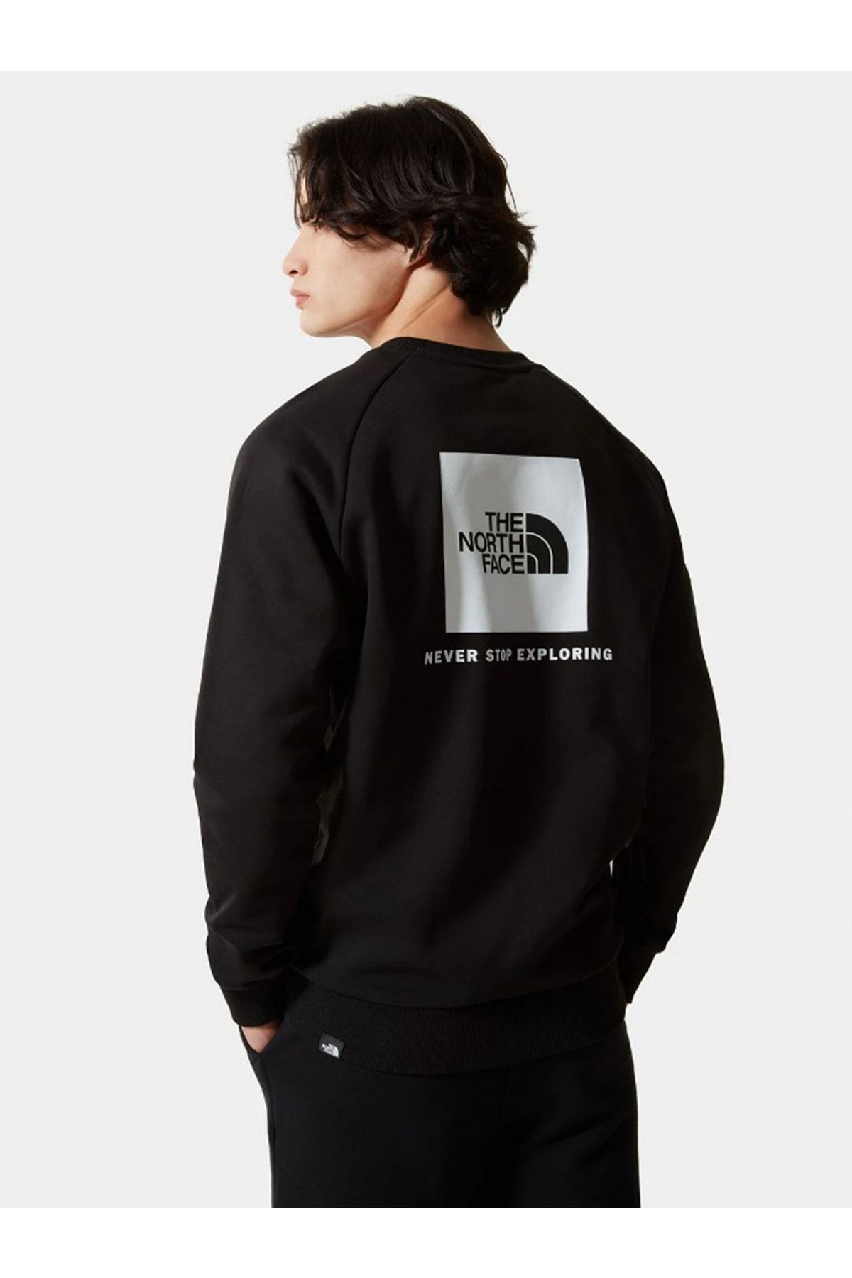 The North Face M Raglan Redbox Crew - New - Eu Nf0a4sz9jk31 Fiyatı