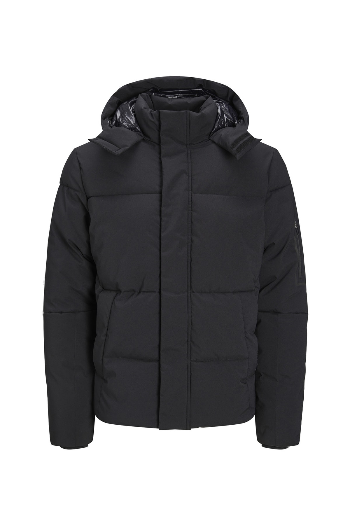 12212230_jjweb puffer