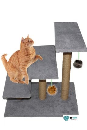 catwalk bentonit marsilya sabunlu kedi