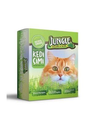 Mobee Aslan Yelesi Kedi Kopek Perugu Parti Kostumu Trendyol