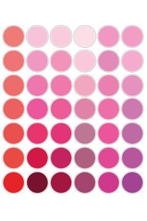 Pembe Tonlarında Renk Paleti Temalı 42 Adet Sticker Seti palet