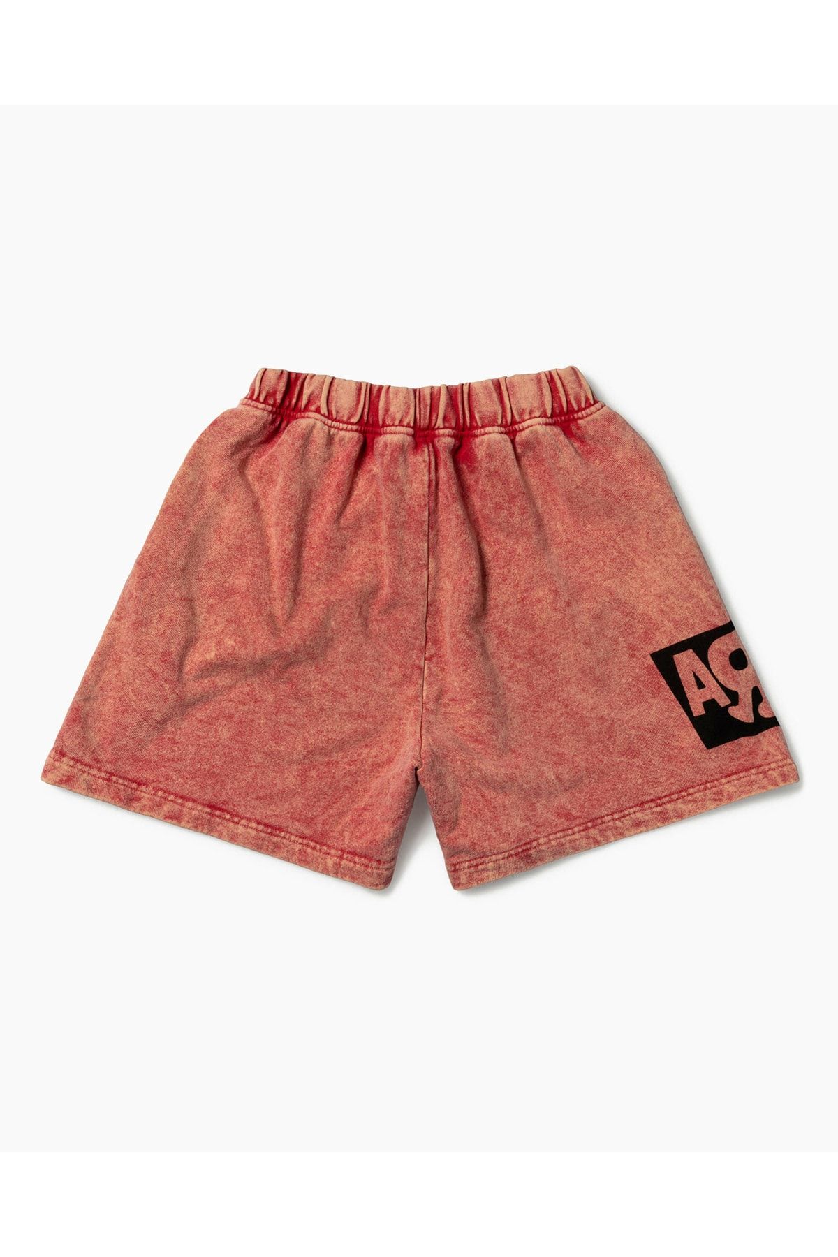 Vans-Wm Vault X Arıes Fleece Shorts 2