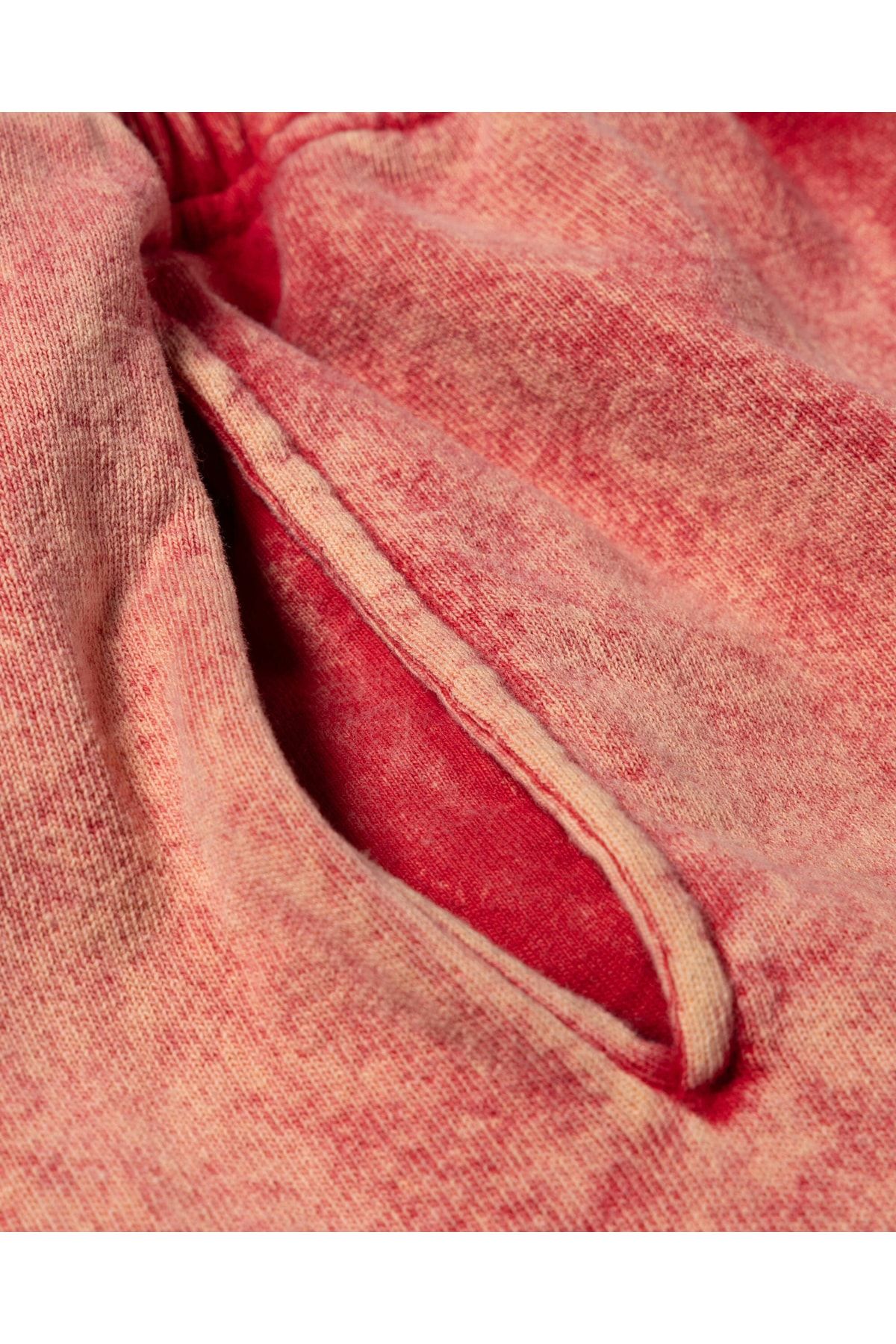 Vans-Wm Vault X Arıes Fleece Shorts 4