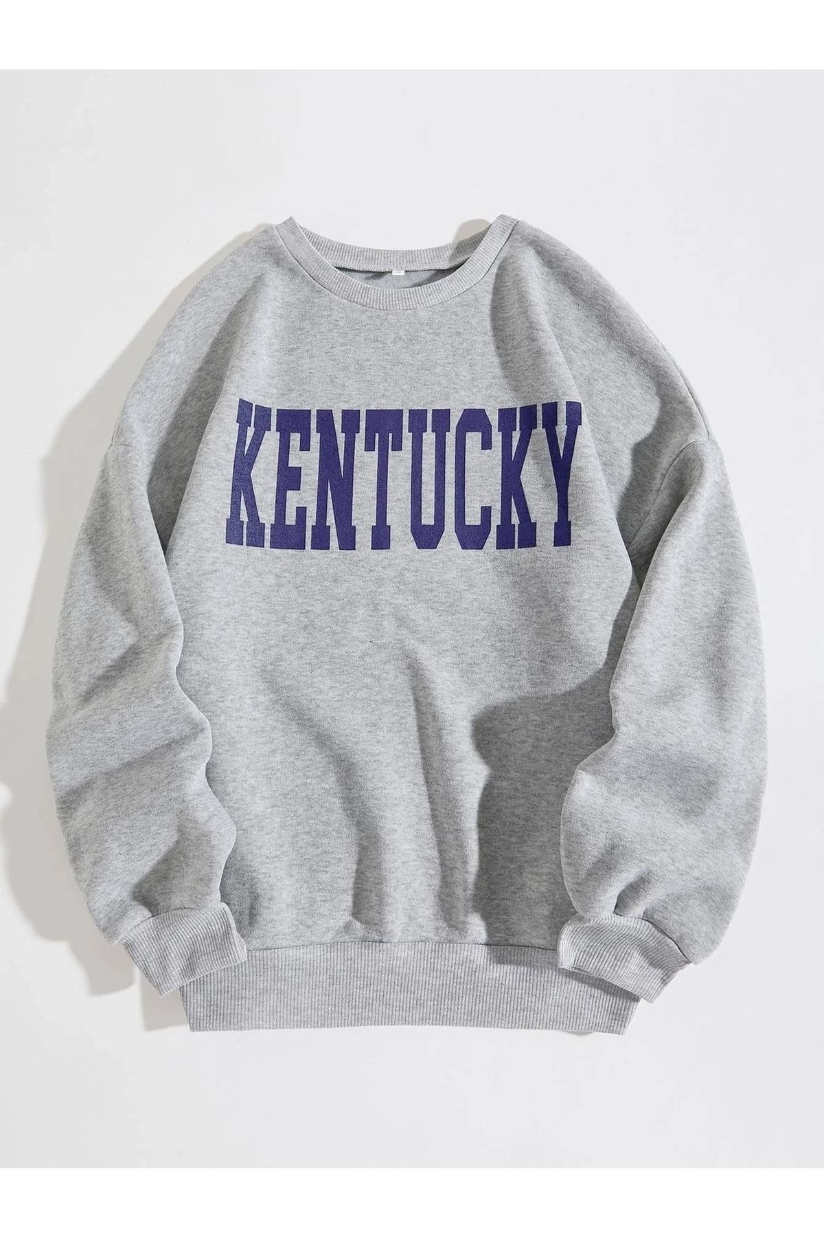 Champion sweatshirt kentucky on sale