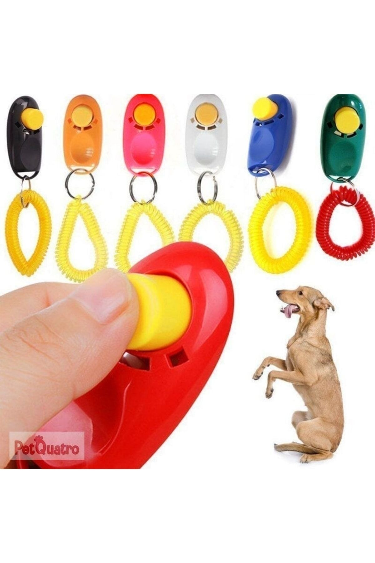 PETQUATRO Kedi Ve Köpek Clicker