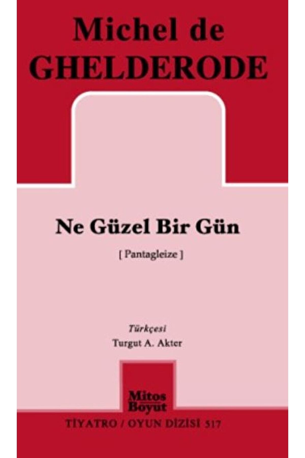 Ne Güzel Bir Gün  Michel De Ghelderode  9786055127251