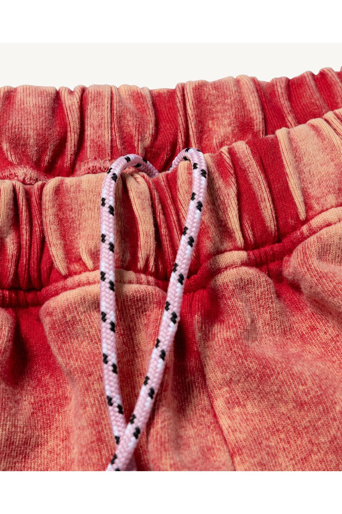 Vans-Wm Vault X Arıes Fleece Shorts 5