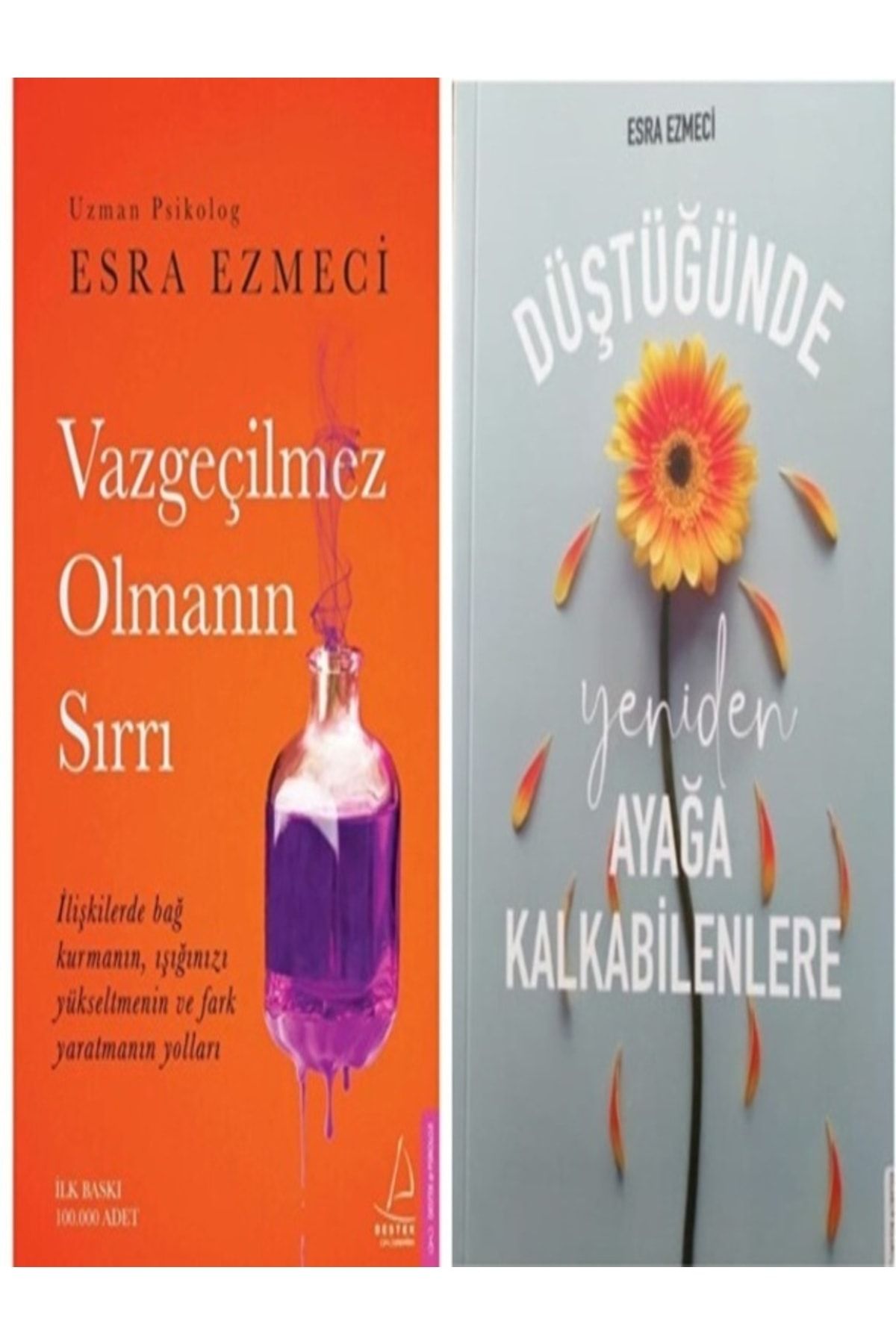Destek Yayınları Vazgeçilmez Olmanın Sırrı + Dilek Defteri Hediyeli