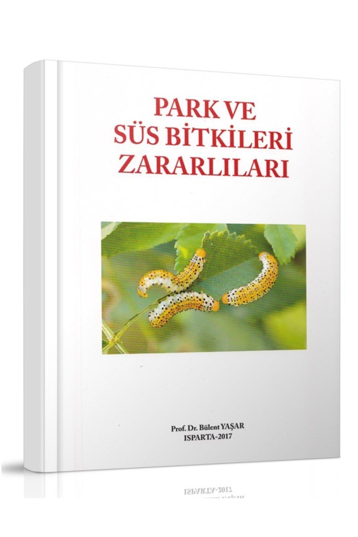 hasad yayincilik park ve sus bitkileri