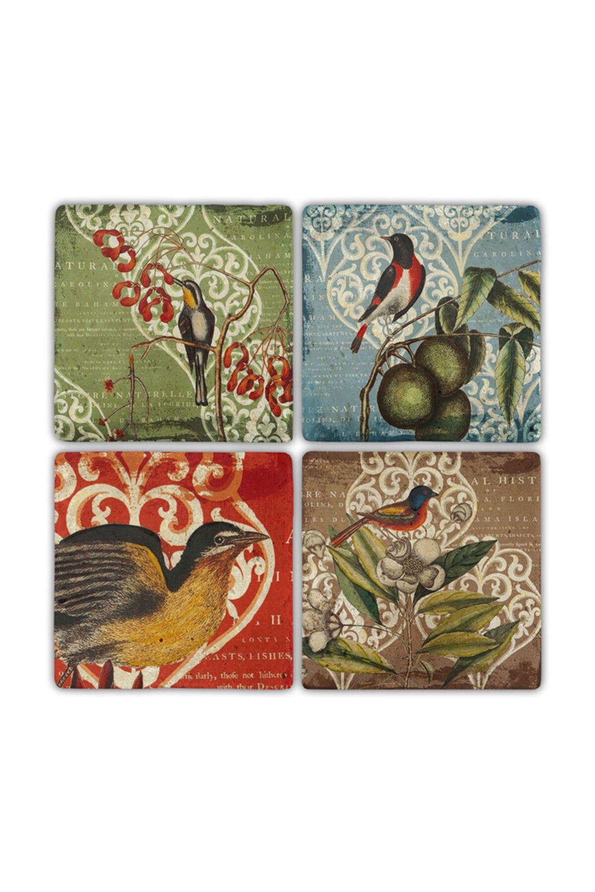 Oscar Stone Natural Stone Coaster- Set of 4 (10 Cmx10 Cm)