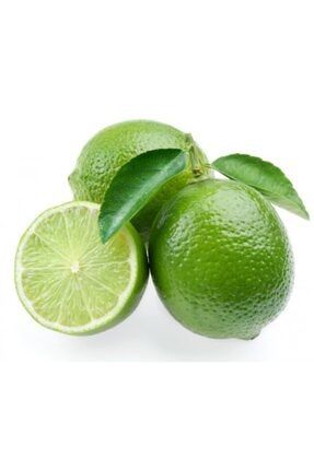 Dikensiz Mexican Lime Limon Fidanı Nadir Çeşit 5 Yaşlı Tüplü TAM_70_10478_4317_dmexican62
