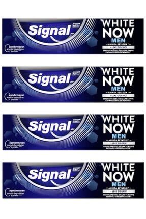 Signal Dis Macunu 75 Ml White Now Men Trendyol