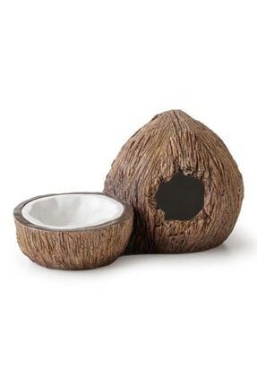 Coconut Saklanma Alanı Ve Su Kabı 702-PT3159