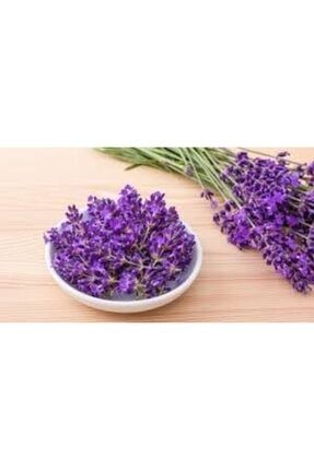 mutlu paket ruscus aculeatus kokina