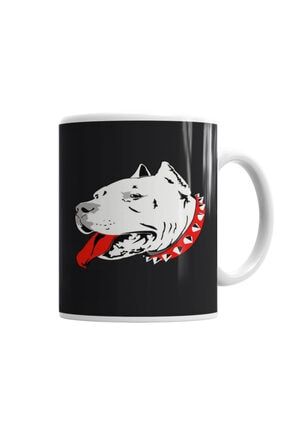 pit bull face pitbull