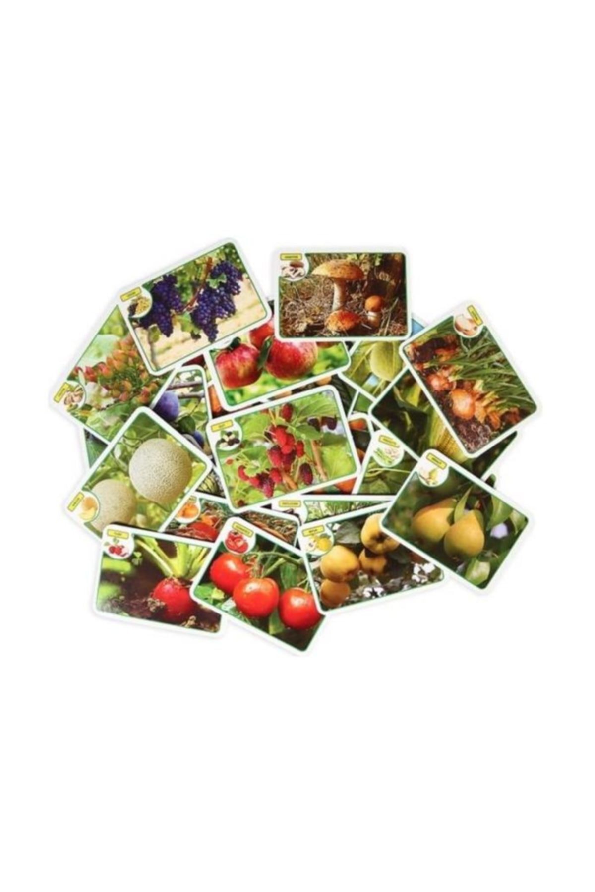 Diytoy Diy-toy 3'lü Hafıza ve Flash Kartı Seti fotoğrafı 2 (önizleme)