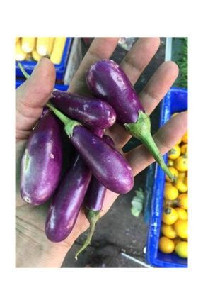 Süper Paket 100 Adet Tohum İthal Nadir Thailand Mini Kemer Patlıcan Tohumu 233812675