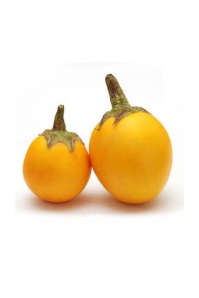 Nadir İthal Thailand Sarı Patlıcan Tohumu 5 Adet Tohum 105352397