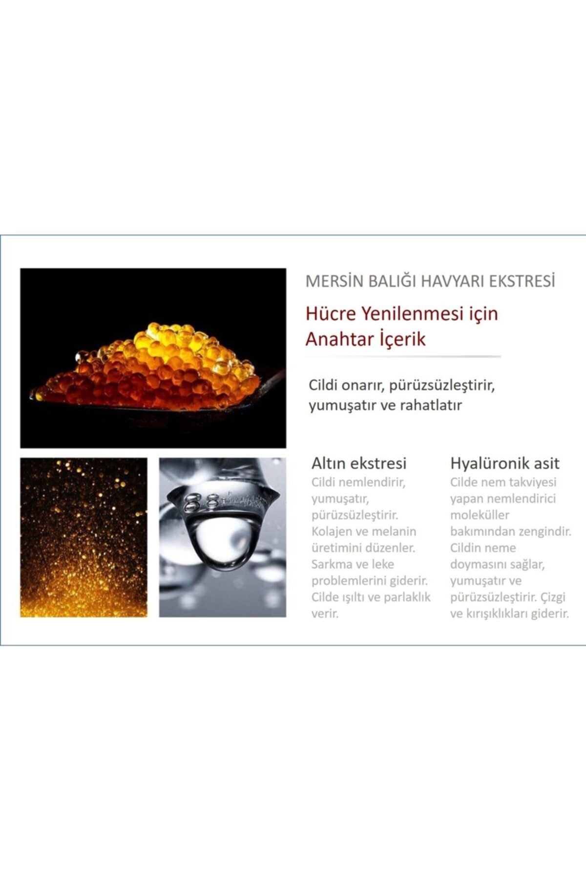 کرم چشم   Jomtam | MIN156 اورجینال - تصویر 5