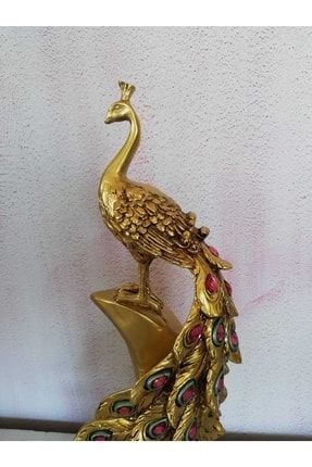 Altın Tavus Kuşu (ESKİTMELİ) TVS5020